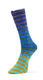 Paint Socks - 6 ply COMING SOON