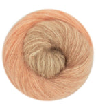 Laines du Nord Cashsilk Cotton Degrade