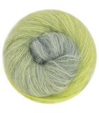 Laines du Nord Cashsilk Cotton Degrade