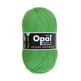 Opal Uni 4 ply Sock